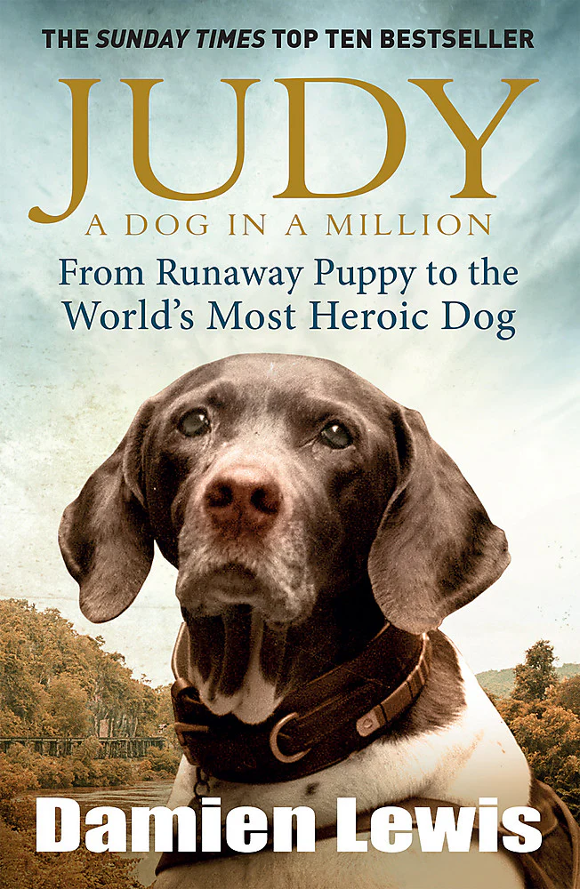 Judy: A dog in a million - From runaway puppy to the world's most heroic dog