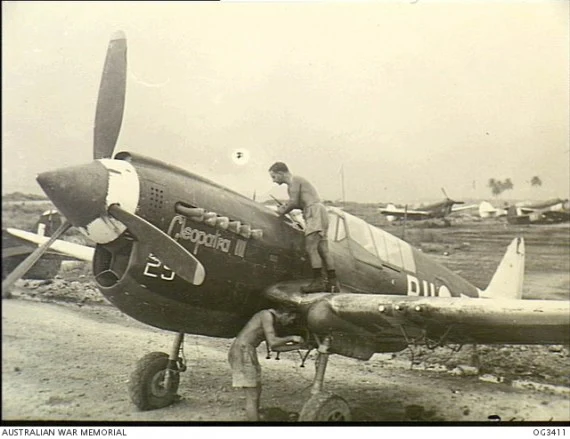 P-40 M/N Warhawk (RAAF markings), 1:72 scale - Image 3