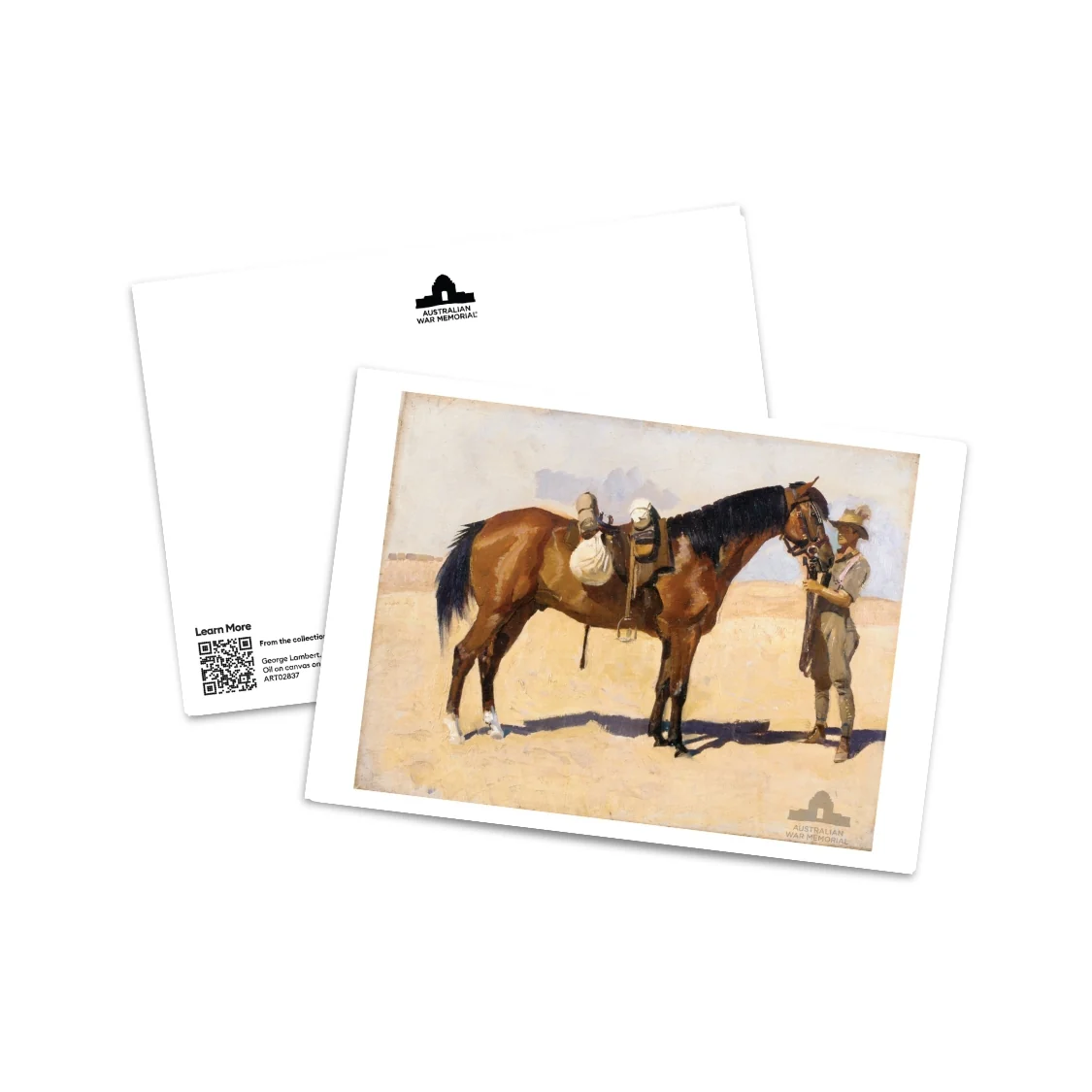 Postcard: A favourite charger with groom, Anzac Mounted Division - Image 2