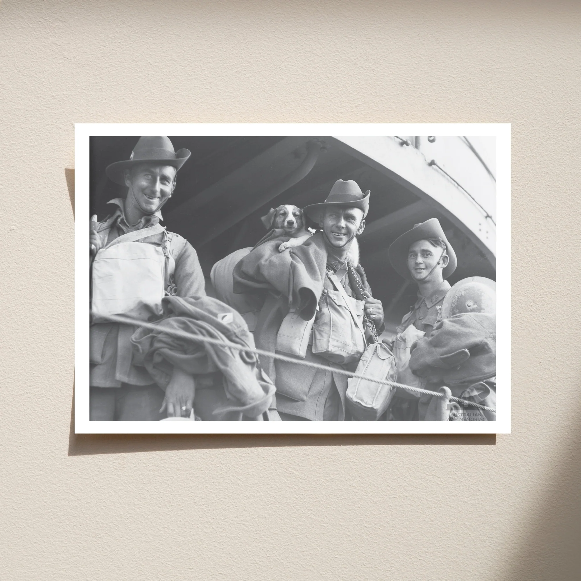 Postcard: An unexpected passenger on board HMS Kingston