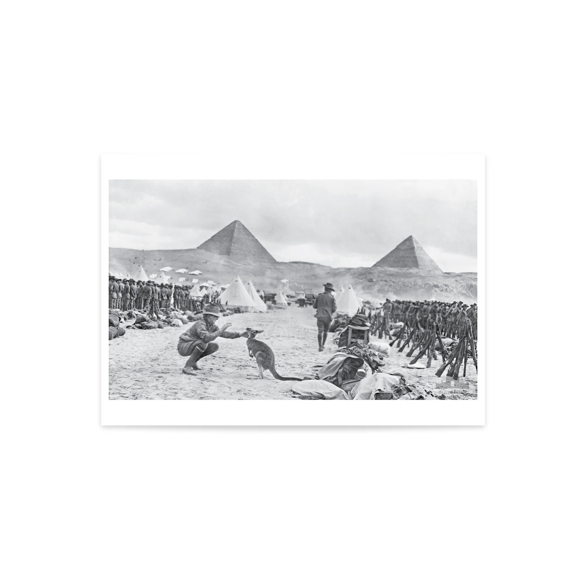 Print, A3: An unexpected visitor in Mena Camp, Egypt - Image 2