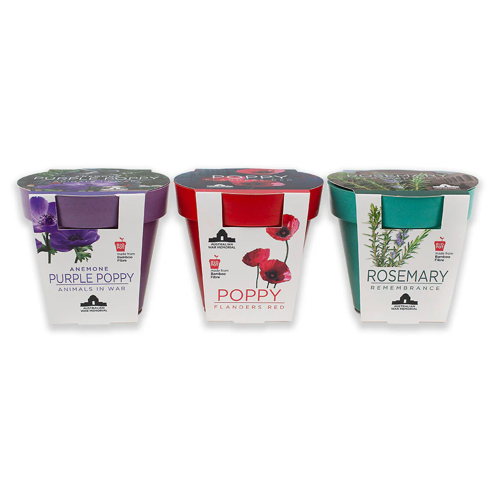 Seedling kit: Grow-Your-Own, Red poppy - Image 3