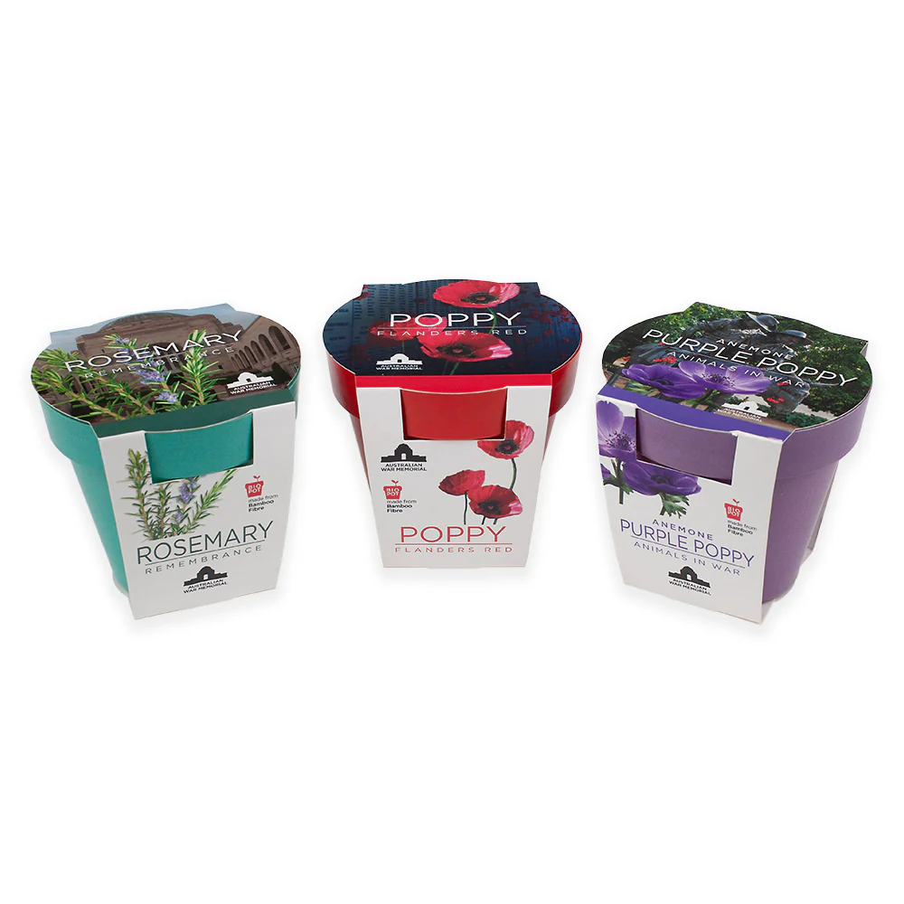 Seedling kit: Grow-Your-Own, Rosemary - Image 4
